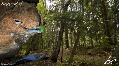 Nico in "Bilderfilter"