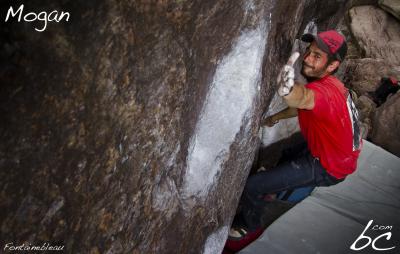 Roque in "Fontainebleau"