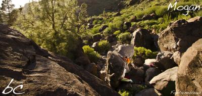 Ezequiel in "Fontainebleau"
