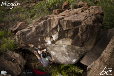 Ezequiel in "Palmera"