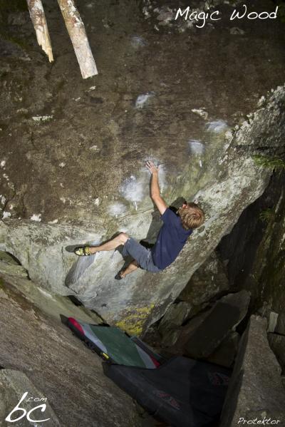 Georg in "Protektor"