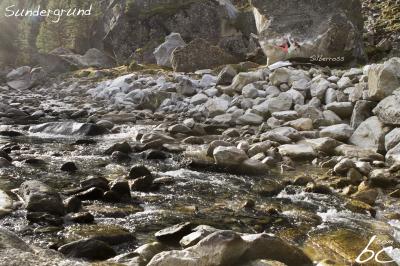 Karo in "Silberross" (1)