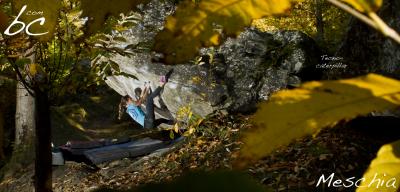 Layla in "Tecnocaterpillar"