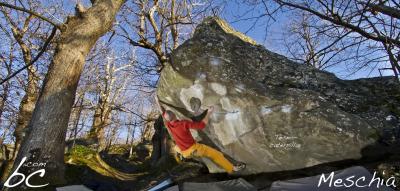 Tom in "Tecnocaterpillar"